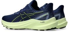 Asics Asics GT-2000 12 GTX, velikost: 14