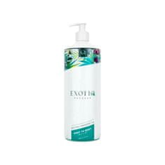 Exotiq Body to Body masážní olej neutral 1 l