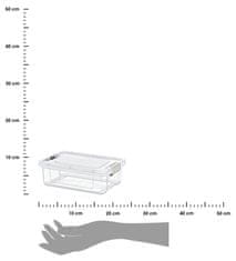 Dekorstyle Úložný box Something 800 ml čirý 
