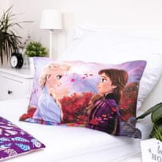 Jerry Fabrics  Disney povlečení do postýlky Frozen 2 Wind baby 100x135, 40x60 cm