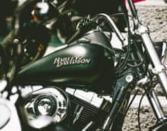 Stips.cz Spolujízda na 2 hodiny na Harley - Davidson Softail heritage