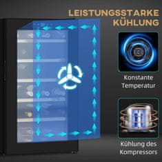 HOMCOM Chladnička Na Víno, 65 L Lednice Na Nápoje Na 24 Lahví, Lednice Na Lahve, Klimatizační Skříň Na Víno S Vnitřním Osvětlením, 5-20°C, Dotyková, Černá 
