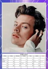 CurePink Nástěnný kalendář 2025: Harry Styles (A3 29,7 x 42 cm)