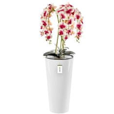 botle Umělá orchidej, krémová a růžová, kytice květin, vysoký květináč, Bílá, V 110 cm