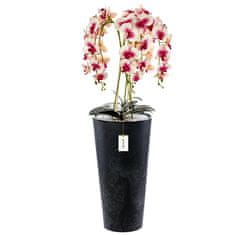 botle Umělá orchidej, krémová a růžová, kytice květin, vysoký květináč, Antracit, V 110 cm