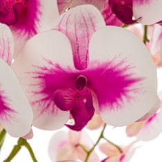 botle Umělá orchidej, krémová a růžová, kytice květin, vysoký květináč, Bílá, V 110 cm