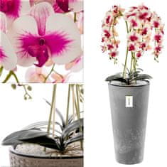 botle Umělá orchidej, krémová a růžová, kytice květin, vysoký květináč, Beton, V 110 cm