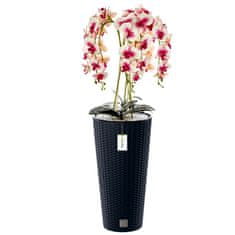 botle Umělá orchidej, krémová a růžová, kytice květin, vysoký květináč, Antracit, V 110 cm