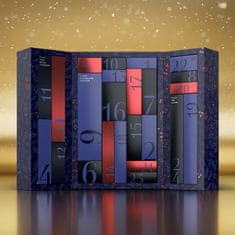 Satisfyer Satisfyer Premium Advent Calendar, luxusní balíček 24 hraček