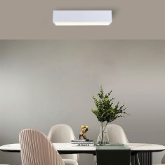 Immax NEO CANTO SMART stropní svítidlo 60x15cm, 34W bílé Zigbee 3.0, TUYA