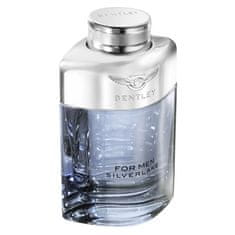 For Men Silverlake - EDP 100 ml