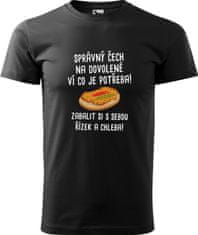 Hobbytriko Pánské cestovatelské tričko - Správný Čech na dovolené, ví co je potřeba! Barva: Tyrkysová (44), Velikost: S, Střih: pánský