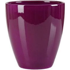 Obal orchidejovy 620 Pure Violet lesk 13 cm / v. 15 cm - 6 ks