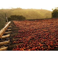 COFFEEDREAM Káva ETIOPIE YIRGACHEFFE Gr. 2 - Gramáž: 500g, Typ kávy: Velmi jemné mletí - džezva, Způsob balení: třívrstvý sáček se zipem