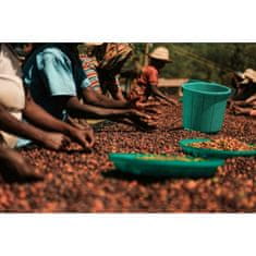 COFFEEDREAM Káva ETIOPIE SIDAMO BOMBE - Gramáž: 1000g, Typ kávy: Jemné mletí - český turek, Způsob balení: běžný třívrstvý sáček, Stupeň pražení: pražení COFFEEDREAM