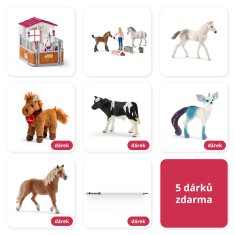 Lumpin Truhla plná hraček „SCHLEICH 001“, limitovaná edice