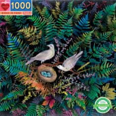 eeBoo Čtvercové puzzle Ptáci v kapradí 1000 dílků