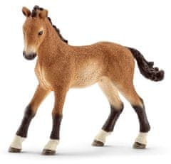 Schleich Horse Club 13804 Tennesseeský mimochodník - hříbě