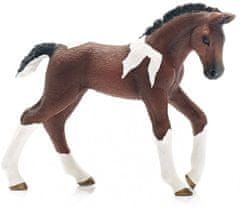 Schleich Horse Club 13758 Trakénský kůň - hříbě