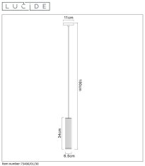 LUCIDE  LIONEL závěsné svítidlo 73406/01/30