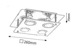 Rabalux  NAOMI LED stropní svítidlo 2511