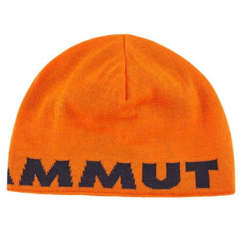 Mammut Čepice Mammut Logo Beanie arumita-night