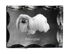 Artdog Pekingese - křišťál s fotkou pejska, skleněná soška s fotkou, unikátní rámeček s fotkou od Art-Dog