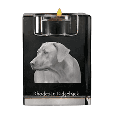 Artdog Rhodéský ridgeback, africký lví pes - svícen s fotkou psa, křišťálový stojan na čajovou svíčku, personalizovaný dárek Art-Dog