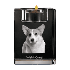 Artdog Pembroke Welsh Corgi - svícen s fotkou psa, křišťálový stojan na čajovou svíčku, personalizovaný dárek od Art-Dog