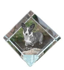 Artdog Cardigan Welsh Corgi I - křišťálová kostka s fotkou, fotka koně v křišťálu, kubické těžítko od Art-Dog