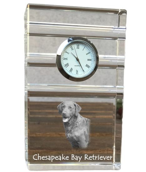 Artdog Chesapeake Bay Retriever - skleněné hodiny s fotkou, fotkou psa v křišťálu, personalizované stojící hodinky do kanceláře od Art-Dog