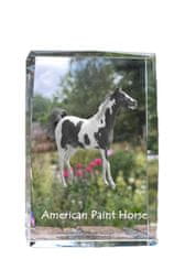 Artdog American Paint Horse - křišťál s fotkou koně, foto ve skle, moderní výstava fotek Art-Dog