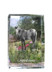 Artdog Appaloosa - krystal s fotkou koně, foto ve skle, výstava moderních fotek Art-Dog