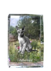 Artdog Peterbald - krystal s fotkou kočky, foto ve skle, výstava moderních fotek Art-Dog