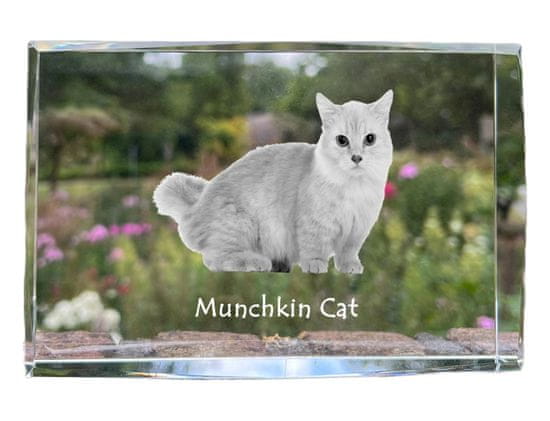 Artdog Munchkin cat - křišťál s fotkou kočky, foto ve skle, výstava moderních fotografií Art-Dog