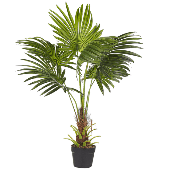 shumee Umělá rostlina FAN PALM 100 cm