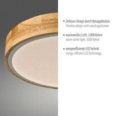 PAUL NEUHAUS JUST LIGHT LED stropní svítidlo kruhové bílé dřevodekor nadčasový design 3000K LD 14288-16