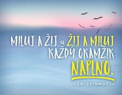 Chinmoy Sri: Magnet na lednici - Miluj a žij a žij a miluj každý okamžik naplno