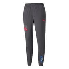 Puma Kalhoty na trenínk šedé 176 - 181 cm/M Neymar JR Futebol Training Pant