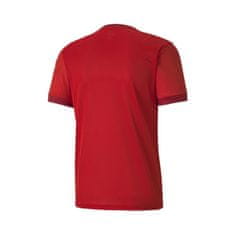 Puma Košile Teamgoal 23 Jersey 70417101