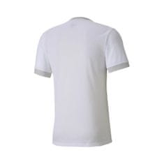 Puma Košile Teamgoal 23 Jersey 70417104