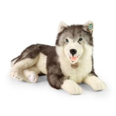 Rappa Plyšový pes husky ležící 60 cm ECO-FRIENDLY