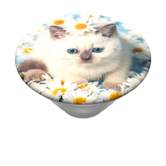 PopSockets PopTop Gen.2, Purr-fect Flower, koťátko v kopretinách, výměnný vršek