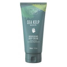 Scottish Fine Soap Sea Kelp