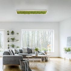 PAUL NEUHAUS JUST LIGHT LED stropní svítidlo hranaté islandský mech do interiéru SimplyDim 3000K LD 15623-66