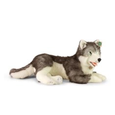 Rappa Plyšový pes husky ležící 60 cm eco-friendly