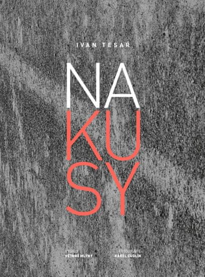 Tesař Ivan: Na kusy