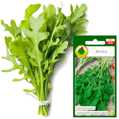 BOBIMARKET rucola eruca sativa bylinky bez gmo semínka bylinek