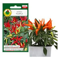 BOBIMARKET poupila poupila sweet paper potted seeds without gmo / poupila poupila sweet paper spiritty colourful perfect for potentional growing 0,5 g