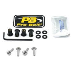 PRO BOLT SCR KIT SCREEN 4 SL SK4S